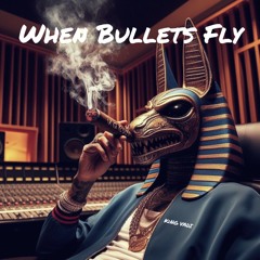 WHEN BULLETS FLY (prod. by theskybeats)