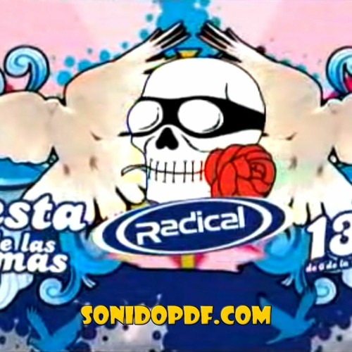 Fiesta De Las Palomas - Parte 08 (2 A 3) @ RADICAL 2008