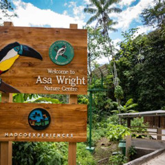Review Special Price A Day At The Asa Wright Nature Center