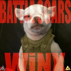 BATTLE SCARS