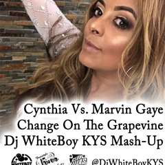 Cynthia Vs. Marvin Gaye Change On The Grapevine Mash-Up - Dj WhiteBoy KYS