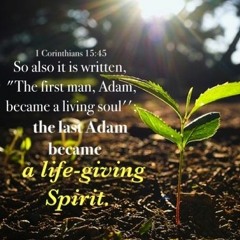 The First Adam And The Last Adam