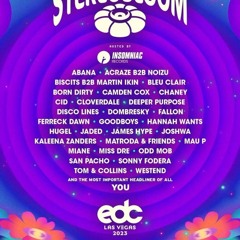 Martin Ikin & Biscits @ stereoBLOOM, EDC Las Vegas, United States 2023-05-19