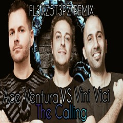 Ace Ventura vs Vini Vici-The Calling(Brownbread Remix)