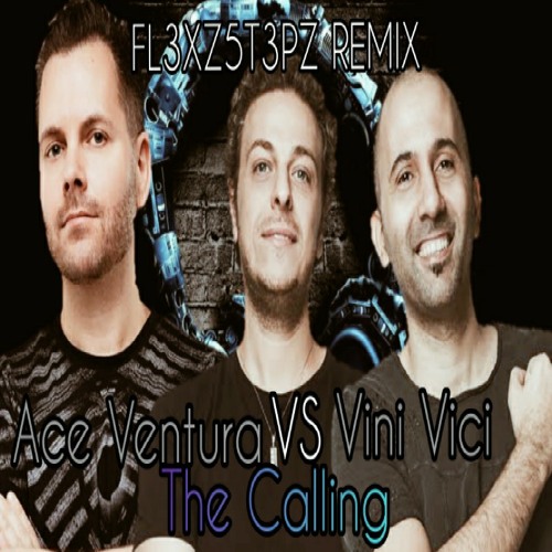 Ace Ventura vs Vini Vici-The Calling(Brownbread Remix)