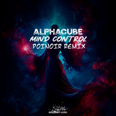 AlphaCube - Control (POINoir Remix) [Endlessky Audio]