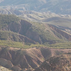 Mont des oliviers WIP
