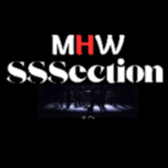 SSSection_Born_in_the_U_2