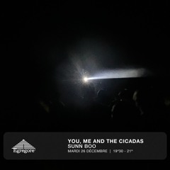 You, me and the cicadas - Sunn Boo (Décembre 2023)
