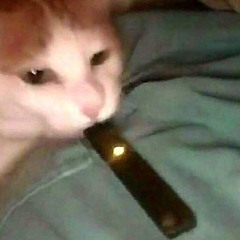 Truestory - Panamera Ft Craiglove111