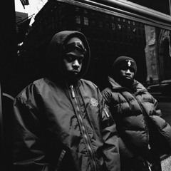 251 - krayze drayz flip - 88.15