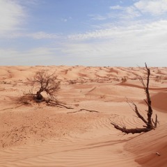Cooking ASMR, Sahara Desert, Tunisia