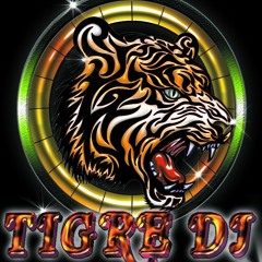 Mix Regueton Dj Tigre 2020 Febrero Mp3