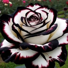 Sit still (prod. sizeezy)