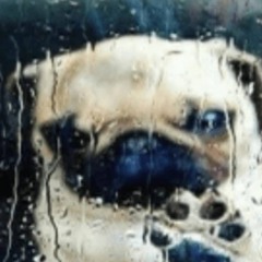 @anne_frank420x @Ljp2900 turn it off (heybye)