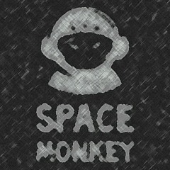 Maverick - Project Space Monkey