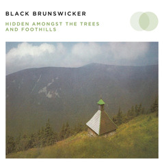 Woodsmoke