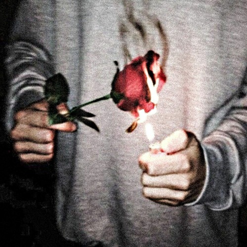 Stream Burning Roses (feat. TXMPO)(Prod. LUM1NOUS) by Pills 888 | Listen  online for free on SoundCloud