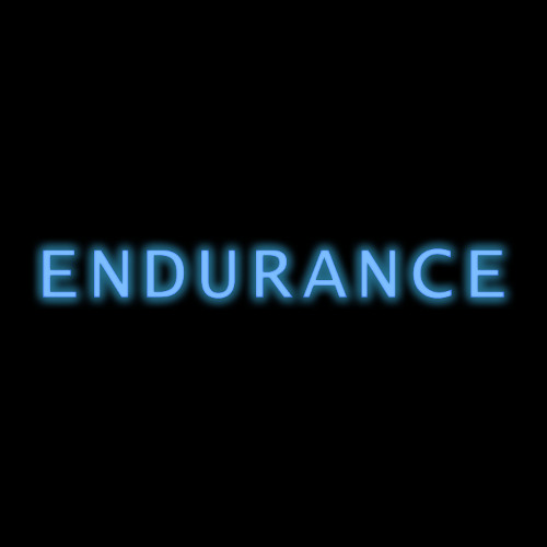 Day 5 - Endurance