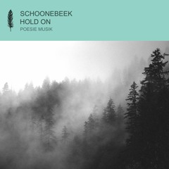 Schoonebeek - Hold On (snippet)