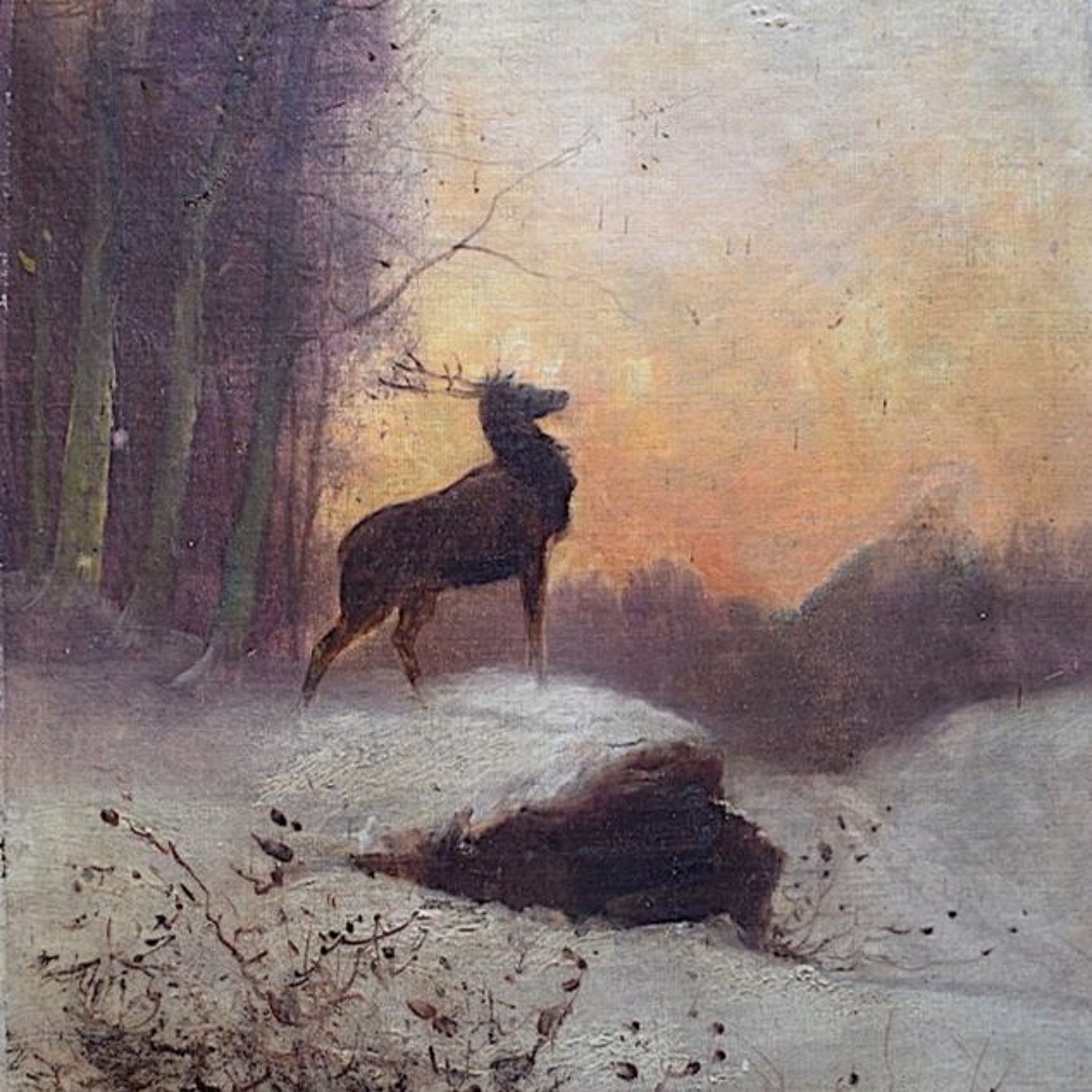 My deer episode artwork