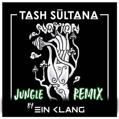 Tash Sultana - Jungle (EIN KLANG Remix)