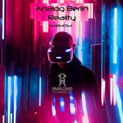 Analog Berlin - Die Nacht, In Der Du Mir Alle Sterne Zeigtest (Original Mix)