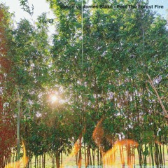 Salute vs James Blake - feel the forest fire (^ - ^) edit)