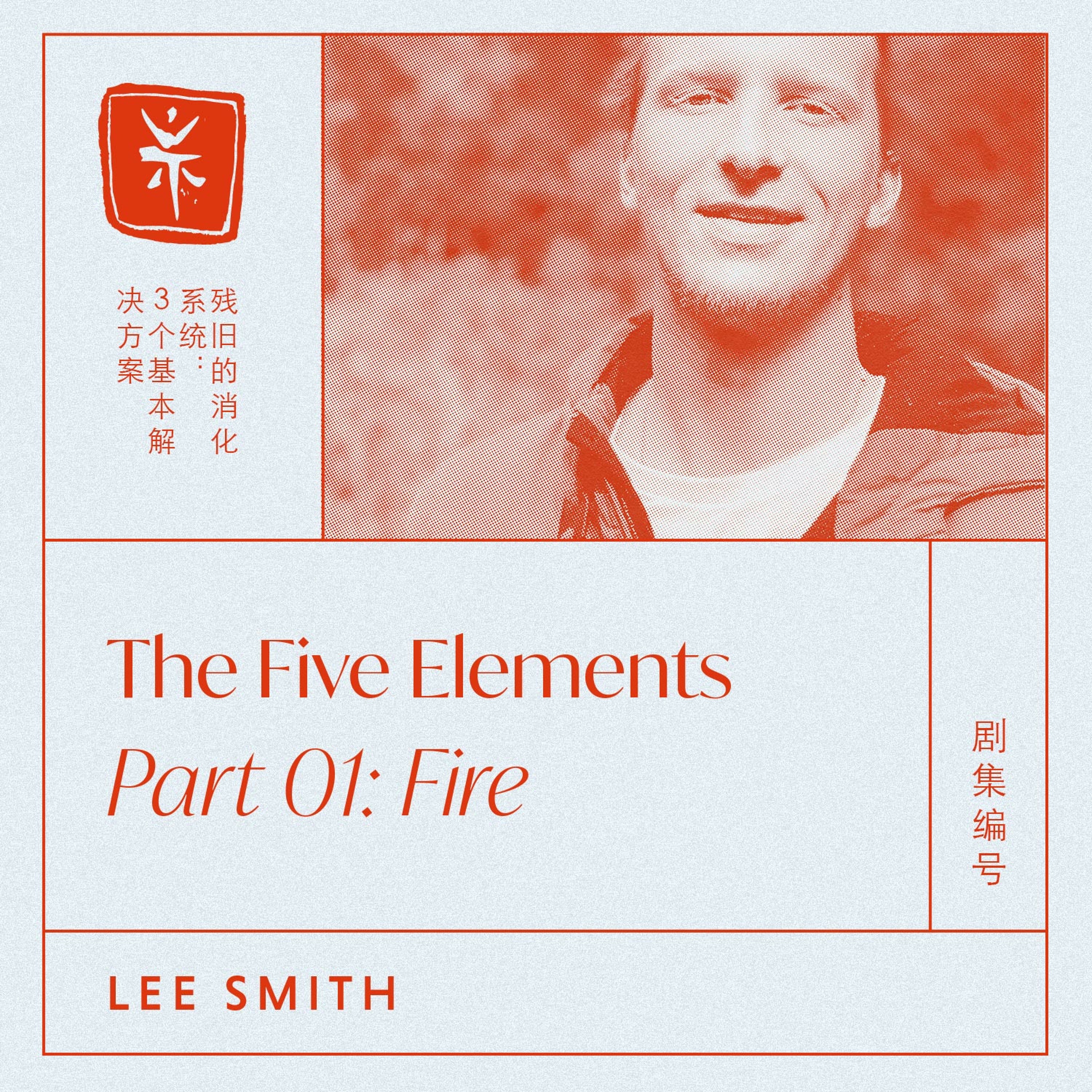 08: The Five Elements Part 01: Fire, with TCM Dr. Lee Smith episode artwork