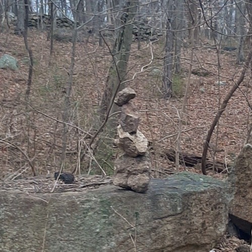 Nothing Without Discipline (Kirk State Sample Challenge April 2025)