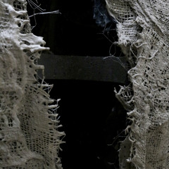 Transparent Bodies, Submarine Roots (LINE_148)