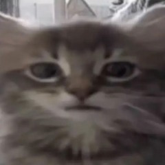 Daniel.mp3 - Green To Blue (are You Ok)