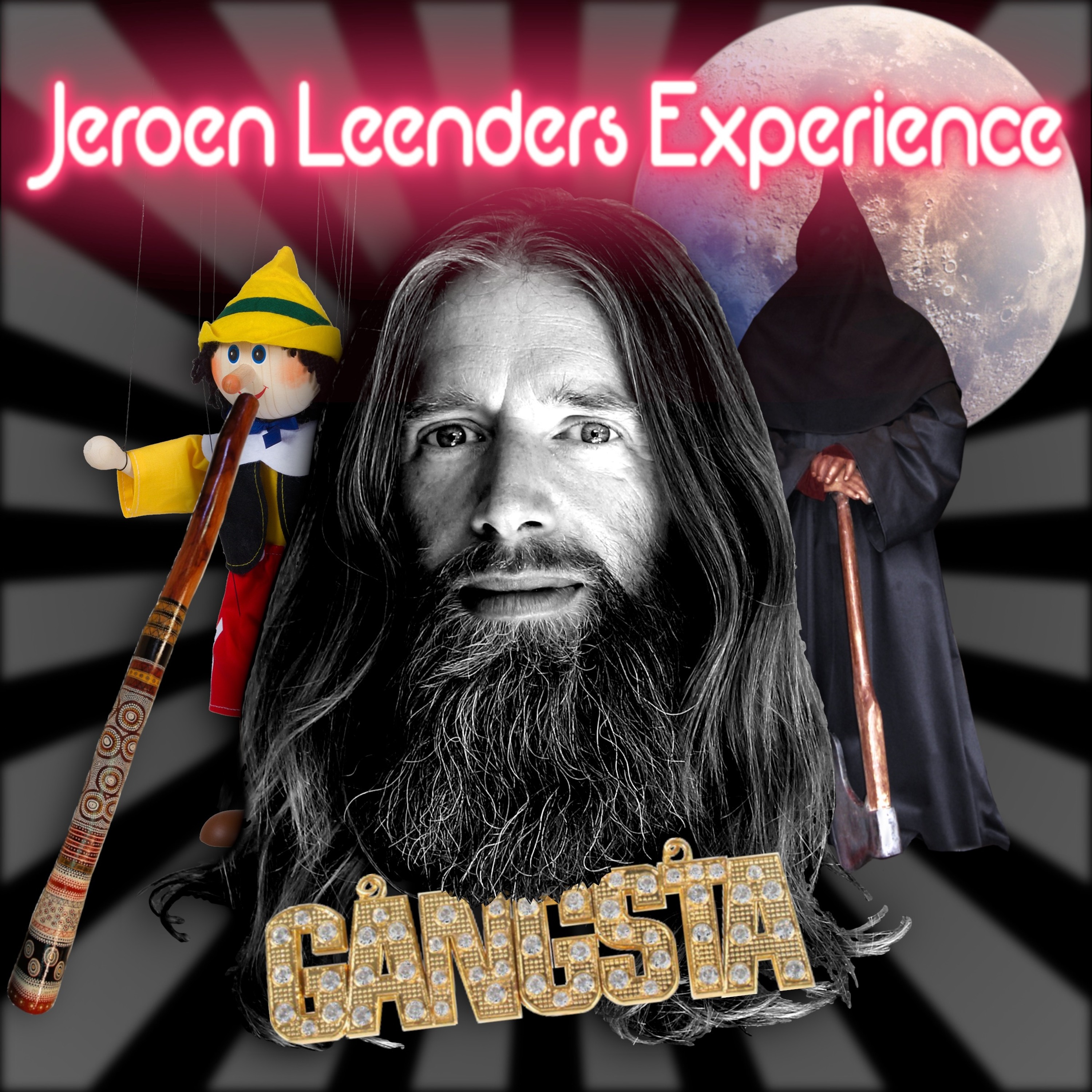 Jeroen Leenders Experience