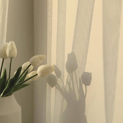 سورة الشعراء اسلام صبحي