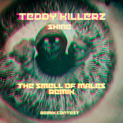 Teddy Killerz - Shine (The Smell of Males Remix Contest)