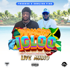 TreeDee x English Fire - DIAMOND IGLOO 2025 (Rep Your Flag Edition) Live Audio