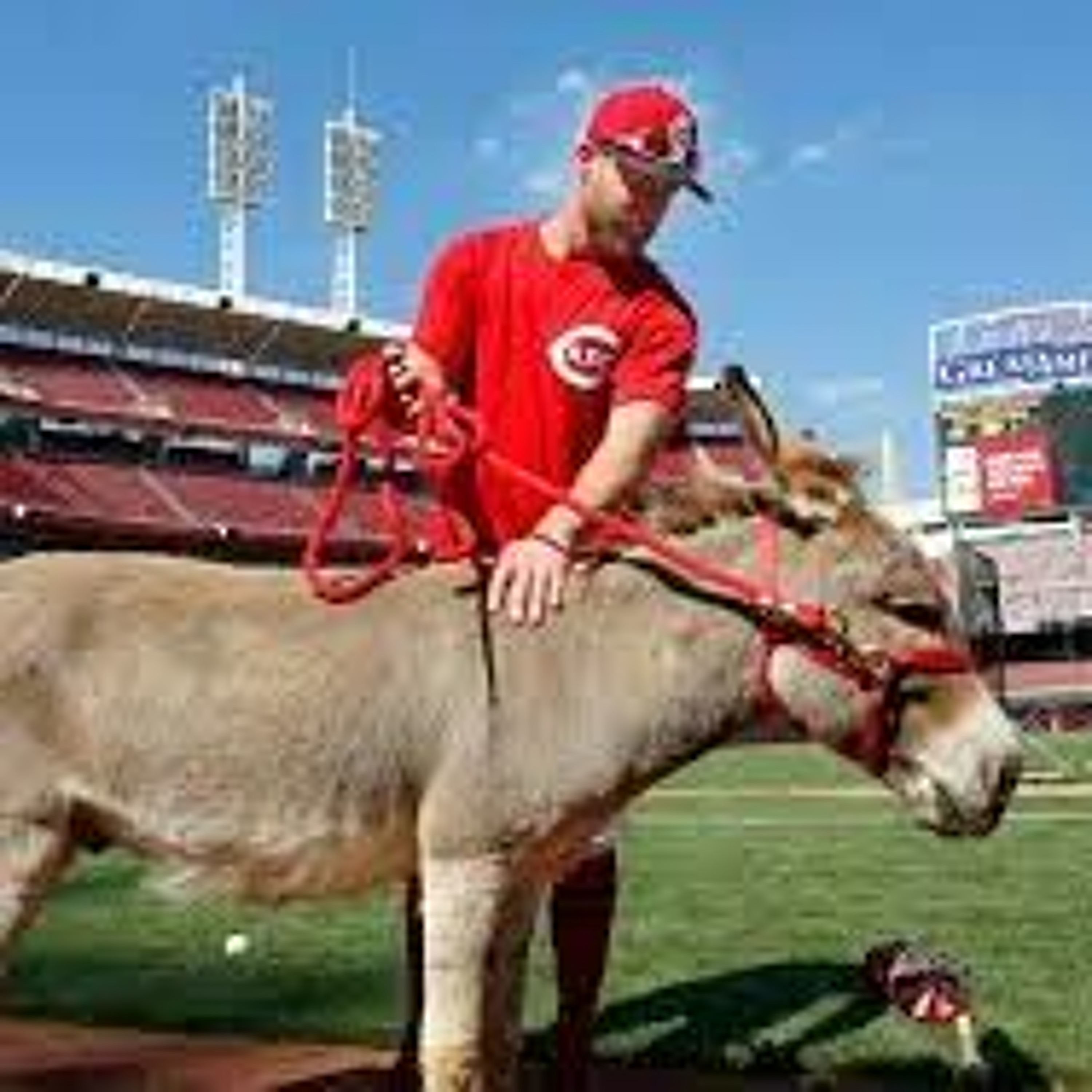 OMU 75: Google Joey Votto and a Donkey