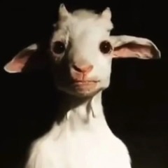 Rawfuck