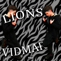 Vidmar - Lions (prod. kashpaint)