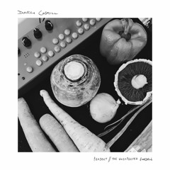 The Fairmer // Reimagined - The Unexpected Garden