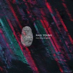 Raul Young - In Pieces (Original Mix) [MATERIA]