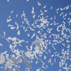 Wolke(prod. by Endzone)(slowed+reverb)