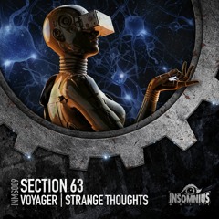 Voyager