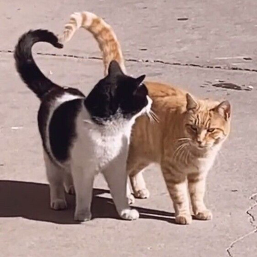 Darling on the Beach - Day6 *even of day* (𝗌𝗉𝖾𝖽 𝗎𝗉)