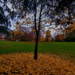 House of Leaves (Wednesday)