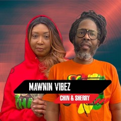 MAWIN VIBEZ 2025