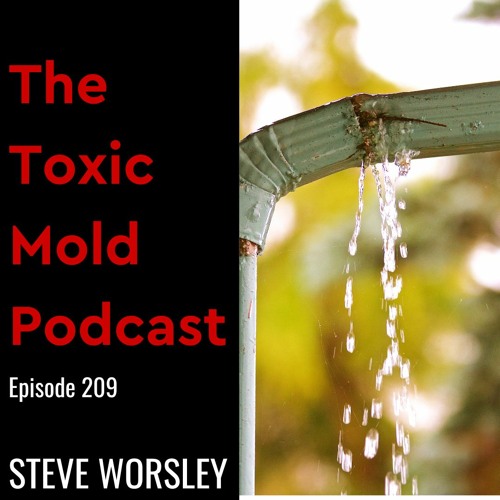 EP 209: Can Rain Gutters Prevent Toxic Mold?