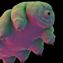 Wickkend #14 by Francesco Chiocci