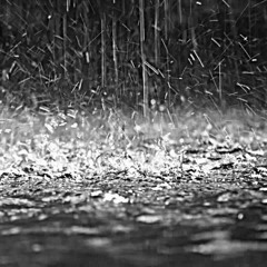 Midnight Rain- Vibrational souls Ft. (Miguel Medina Singingtreeflutes.com) )