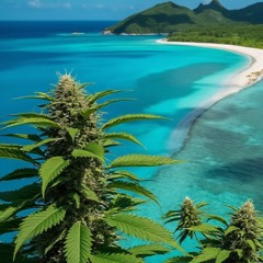 Micronesian Flow (Siren Beat Club Remix)  DJay Flavor